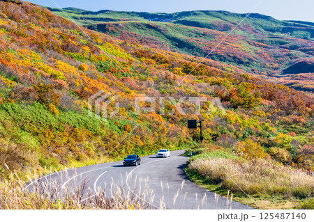 紅葉に染まる鳥海山ブルーライン 125487140