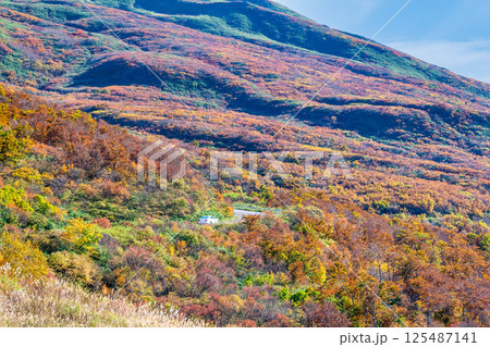 紅葉に染まる鳥海山ブルーライン 125487141