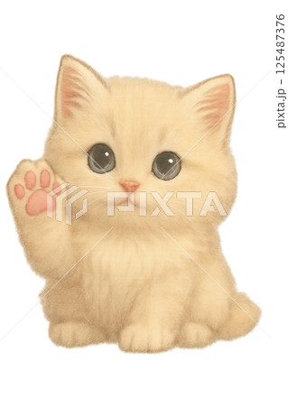 かわいい肉球のモフモフ子猫 125487376