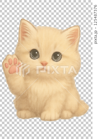 かわいい肉球のモフモフ子猫 125487376