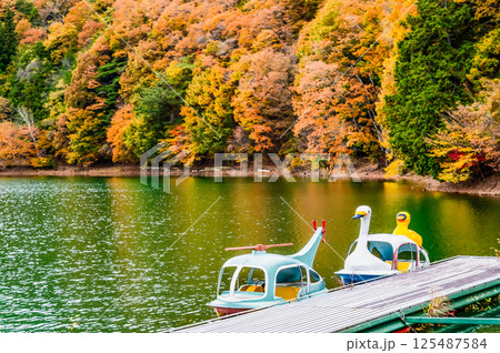 山梨 黄葉に染まる四尾連湖 山梨 黄葉に染まる四尾連湖 125487584