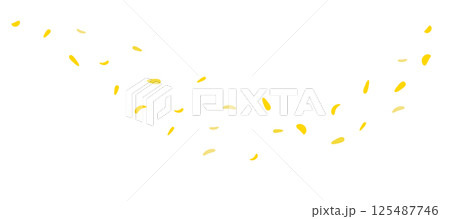 風に舞う夏の黄色いひまわりの花びら　白背景の背景素材 125487746
