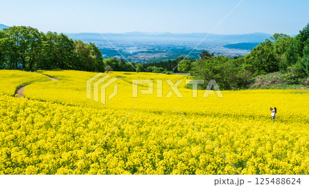 三ノ倉高原菜の花畑 125488624