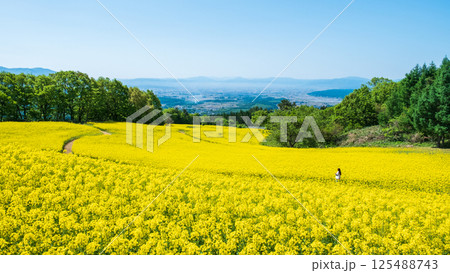 三ノ倉高原菜の花畑 三ノ倉高原菜の花畑 125488743