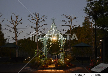 比叡山2024 125488798