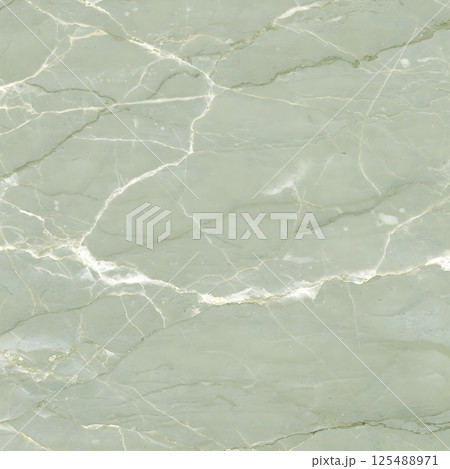 A pale green surface features delicate, flowing white and darker green veining 125488971