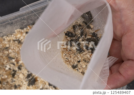 自家製粉末だしをだしパックに入れる 自家製粉末だしをだしパックに入れる 125489407