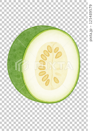 輪切りにした冬瓜の水彩イラスト（野菜） 125489579