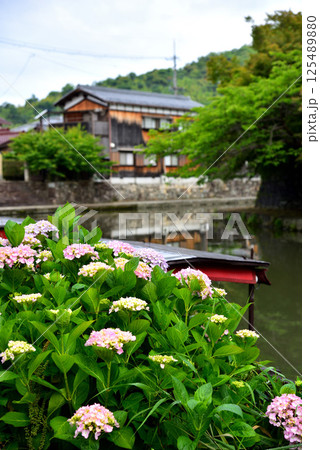 滋賀県近江八幡市 八幡堀の風景 125489880