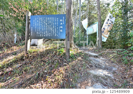 徳川家康の先祖にあたる　松平親氏によって築かれた 松平発祥の城「三河松平城」 125489909
