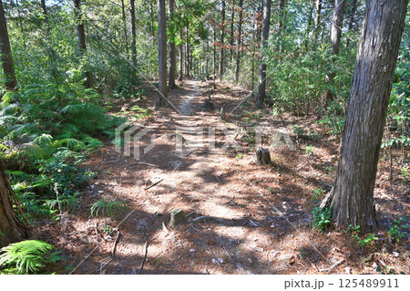 徳川家康の先祖にあたる 松平親氏によって築かれた 松平発祥の城「三河松平城」 徳川家康の先祖にあたる 松平親氏によって築かれた 松平発祥の城「三河松平城」 125489911