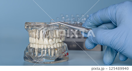 Demonstration of a dental implant with a size scale Demonstration of a dental implant with a size scale 125489940