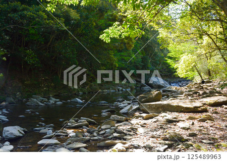 清流の雪浦川 清流の雪浦川 125489963