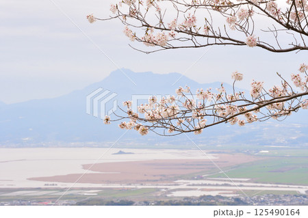 サクラと平成新山 125490164