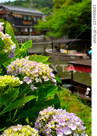 滋賀県近江八幡市 八幡堀の風景 滋賀県近江八幡市 八幡堀の風景 125490683
