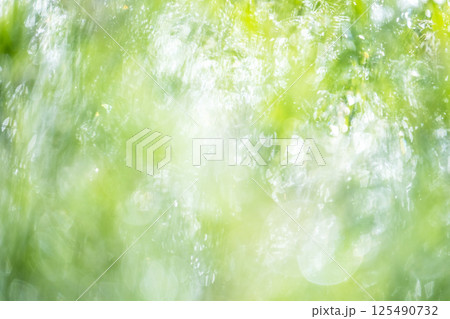 公園の新緑 キラキラ ファンタジー 公園の新緑 キラキラ ファンタジー 125490732