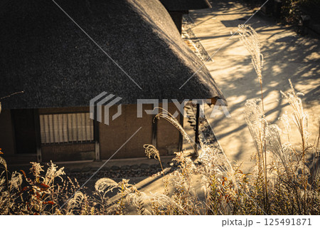 ススキと茅葺屋根の昔の農家が写った日本の秋の風景 ススキと茅葺屋根の昔の農家が写った日本の秋の風景 125491871