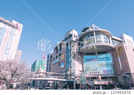 桜が咲く春の頃の聖蹟桜ヶ丘駅前の風景 桜が咲く春の頃の聖蹟桜ヶ丘駅前の風景 125491878