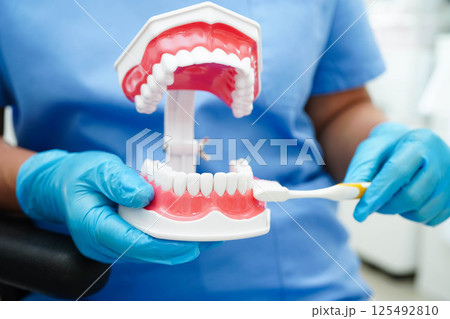 Doctor clean teeth denture with toothbrush for teach patient and dentist studying about dentistry. Doctor clean teeth denture with toothbrush for teach patient and dentist studying about dentistry. 125492810