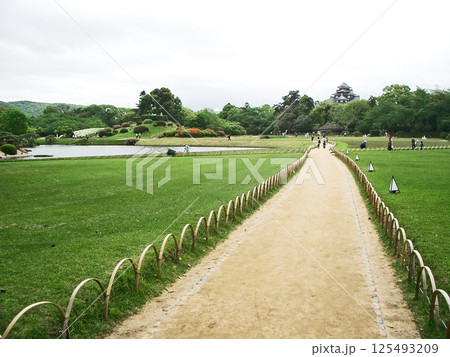 岡山後楽園から岡山城を望む 岡山後楽園から岡山城を望む 125493209