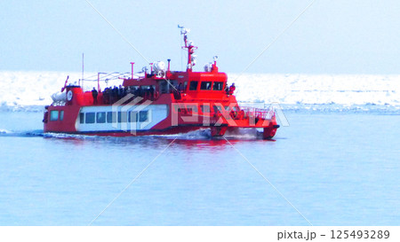 絶景の流氷と野鳥 125493289