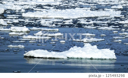 絶景の流氷と野鳥 125493298