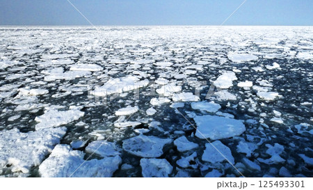 絶景の流氷と野鳥 125493301