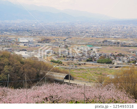 山梨県 春の八代ふるさと公園から見た風景 4月 山梨県 春の八代ふるさと公園から見た風景 4月 125493318