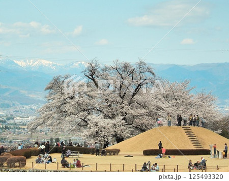 山梨県　休日の八代ふるさと公園　4月 125493320