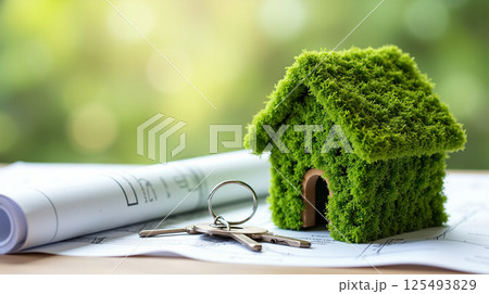paper model of house model 125493829