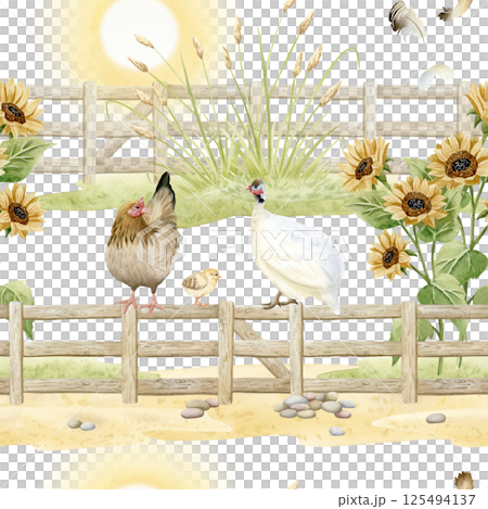 Farm chickens and guinea fowl sitting on wooden fence with sun and sunflowers watercolor seamless pattern on white. Rustic countryside landscape background. Rural wooden village scene 125494137