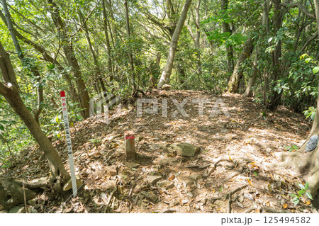 唐沢山の山頂(高尾山北尾根) 唐沢山の山頂(高尾山北尾根) 125494582