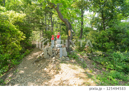 地蔵山の山頂（高尾山北尾根） 125494583