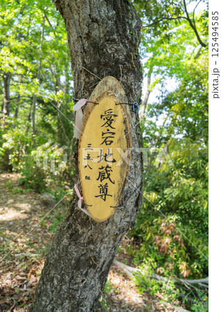 地蔵山の山頂(高尾山北尾根) 地蔵山の山頂(高尾山北尾根) 125494585