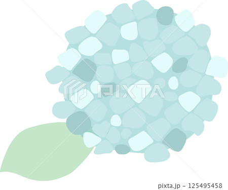 紫陽花　霞青 125495458