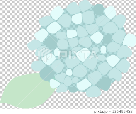 紫陽花　霞青 125495458