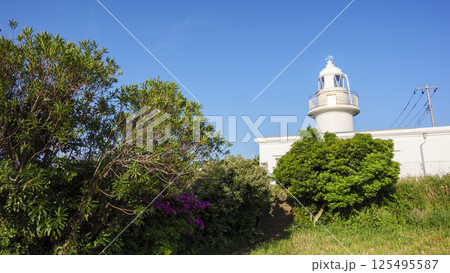 初夏の城ヶ島（晴れ） 125495587