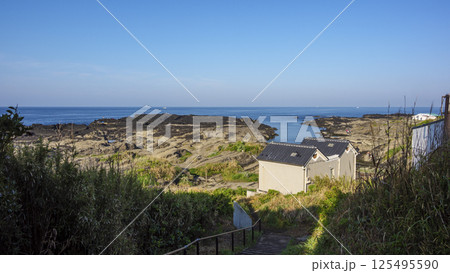 初夏の城ヶ島（晴れ） 125495590