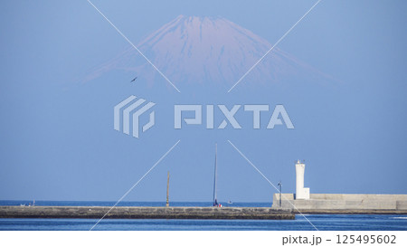 初夏の城ヶ島(晴れ) 初夏の城ヶ島(晴れ) 125495602