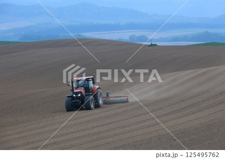 初夏の畑で作業をするトラクター 125495762