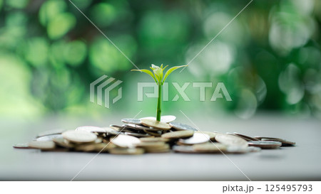 Coin symbolizes growth of investment, as money nurtures a green plant, representing the path to financial success in business and the broader economy. coin, growth, investment, money, green, plant. Coin symbolizes growth of investment, as money nurtures a green plant, representing the path to financial success in business and the broader economy. coin, growth, investment, money, green, plant. 125495793