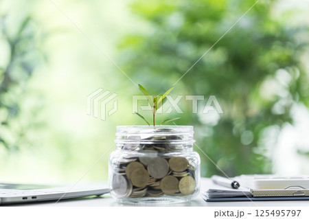 Coin symbolizes growth of investment, as money nurtures a green plant, representing the path to financial success in business and the broader economy. coin, growth, investment, money, green, plant. Coin symbolizes growth of investment, as money nurtures a green plant, representing the path to financial success in business and the broader economy. coin, growth, investment, money, green, plant. 125495797