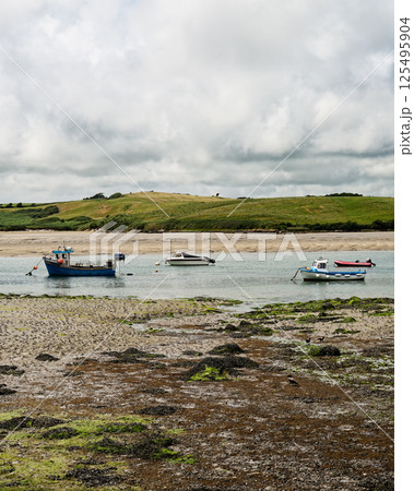 On an overcast day at Middle Ring Bay Beach in Ireland, several boats are anchored in shallow water surrounded by greenery. The unique landscape features a mix of textures and hues. 125495904