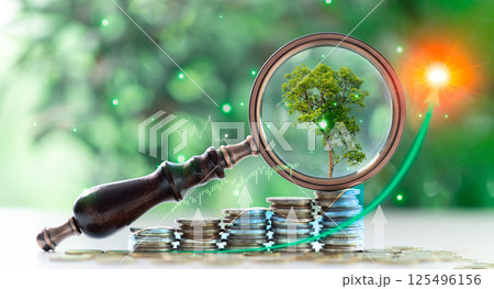 Green finance focuses on climate-conscious investments, driving sustainable economic development while balancing business growth with environmental responsibility. finance, green, climate, investment 125496156