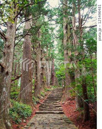 熊野古道　和歌山県　4 125496481