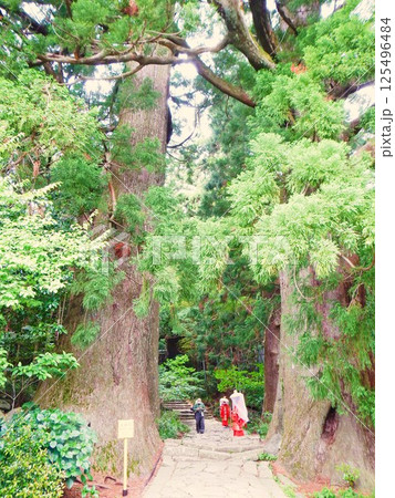熊野古道　和歌山県　1 125496484