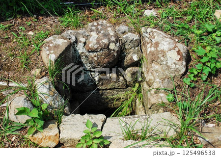 明石城内「松平直明公遺愛お茶の水」の井戸跡(兵庫県明石市) 125496538