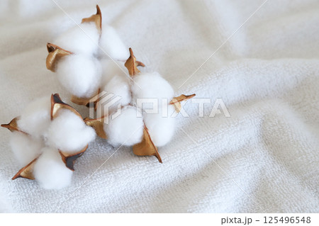 コットンフラワー　綿花 125496548