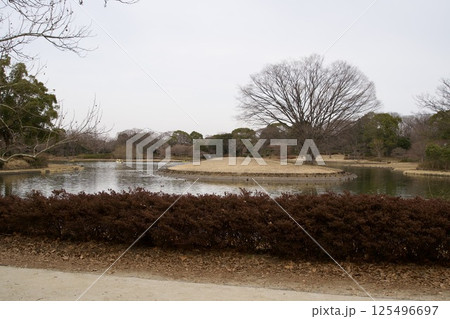 曇天時の大きな池のある公園の風景 曇天時の大きな池のある公園の風景 125496697