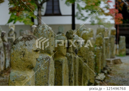 五百羅漢 125496768